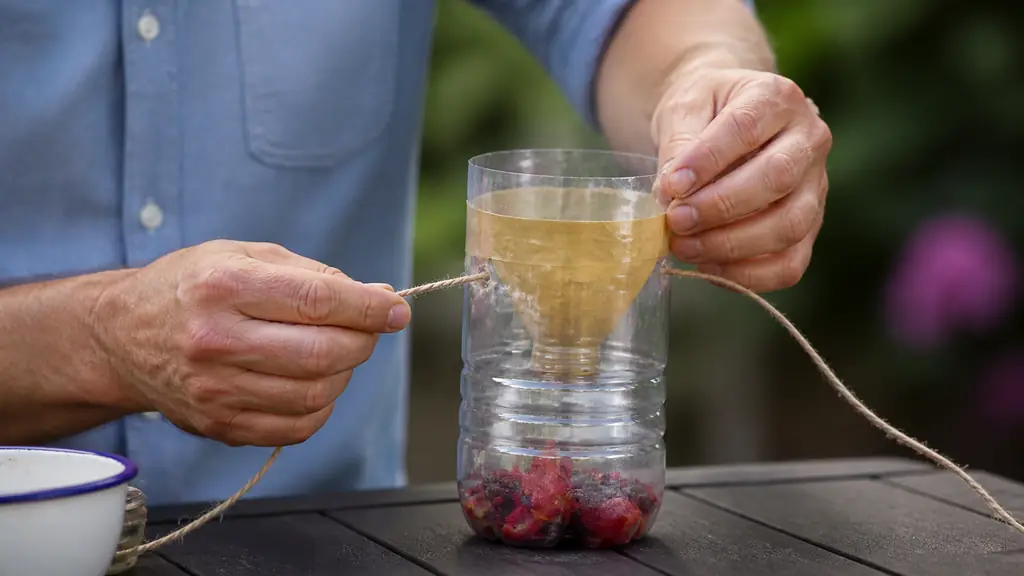 Close-up editorial photograph of hands assembling a PET bottle wasp trap, with the inverted neck secured by tape, red fruit bait below the funnel, and a string threaded through two side holes on a garden table