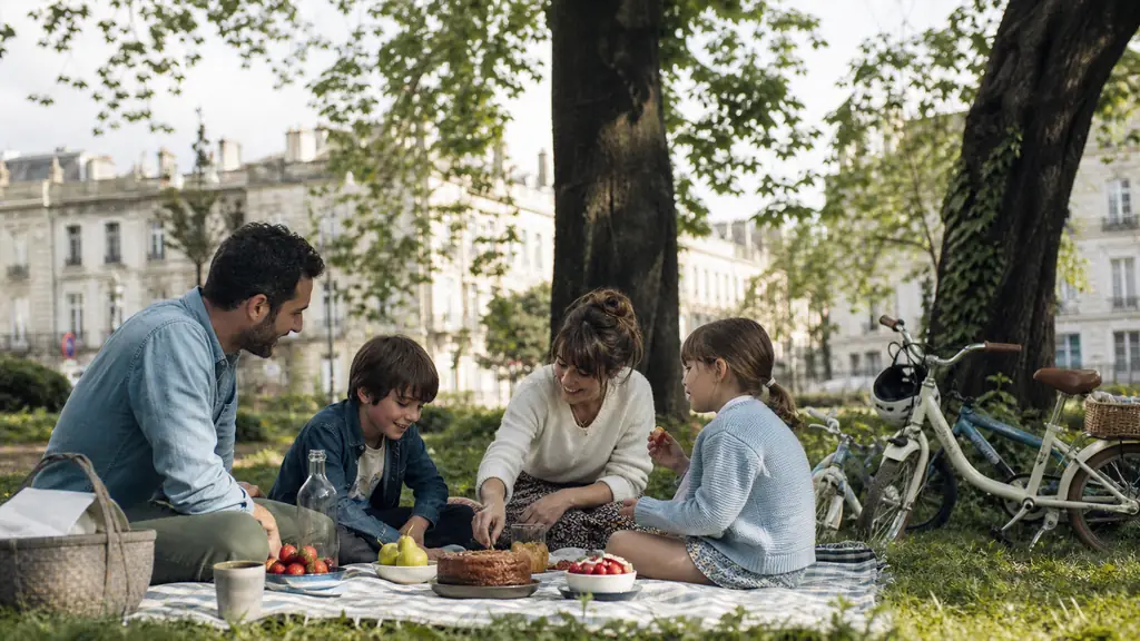 Family enjoying a spring picnic in a leafy Bordeaux park, two children's bicycles resting nearby, seasonal fruit and homemade cake on a checked blanket